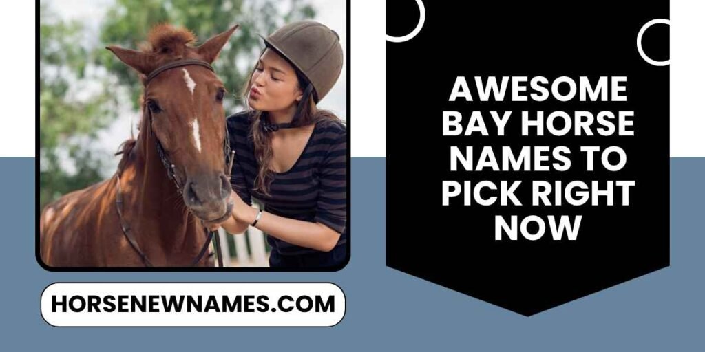 Awesome Bay Horse Names To Pick Right Now