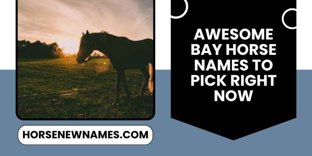 Awesome Bay Horse Names To Pick Right Now
