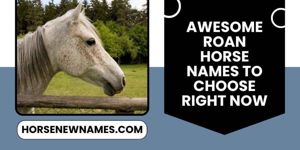 Awesome Roan Horse Names To Choose Right Now