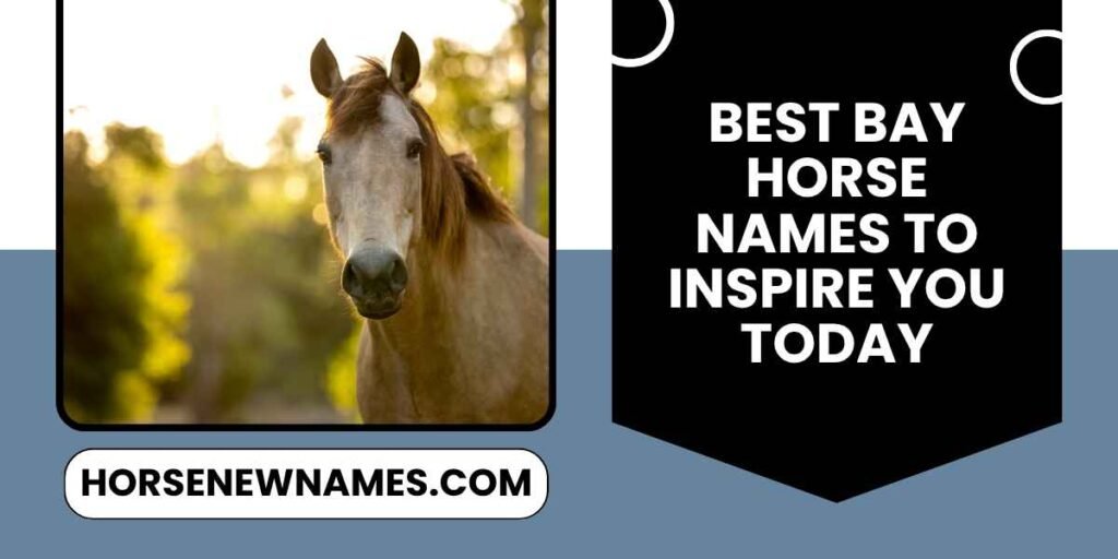 Best Bay Horse Names To Inspire You Today
