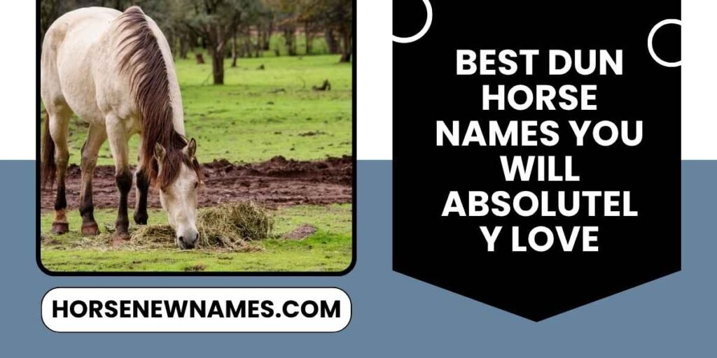 Best Dun Horse Names You Will Absolutely Love
