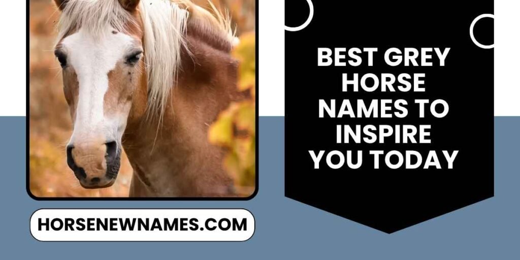 Best Grey Horse Names To Inspire You Today