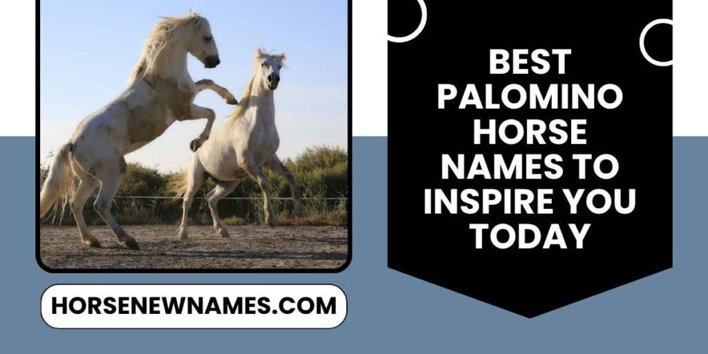 Best Palomino Horse Names To Inspire You Today