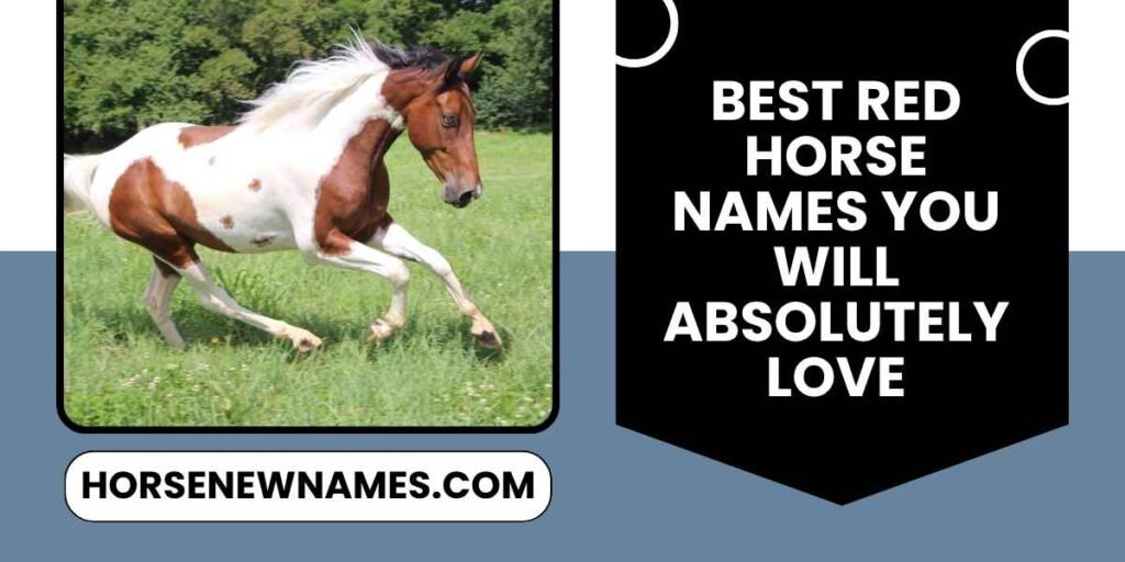 Best Red Horse Names You Will Absolutely Love