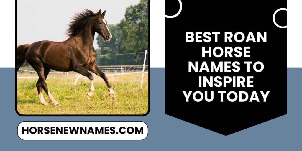 Best Roan Horse Names To Inspire You Today