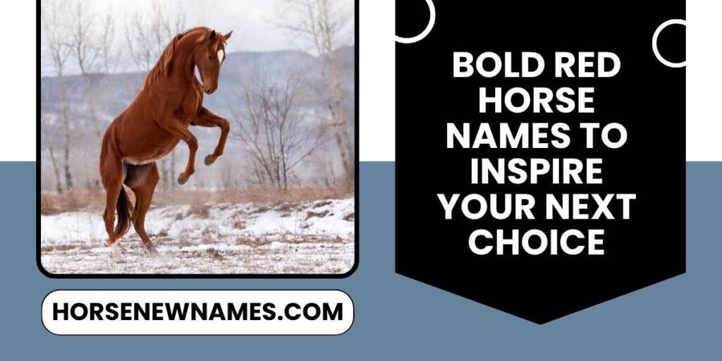 Bold Red Horse Names to Inspire Your Next Choice