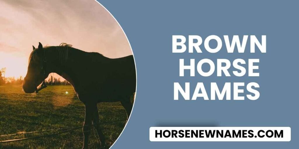 Brown Horse Names 