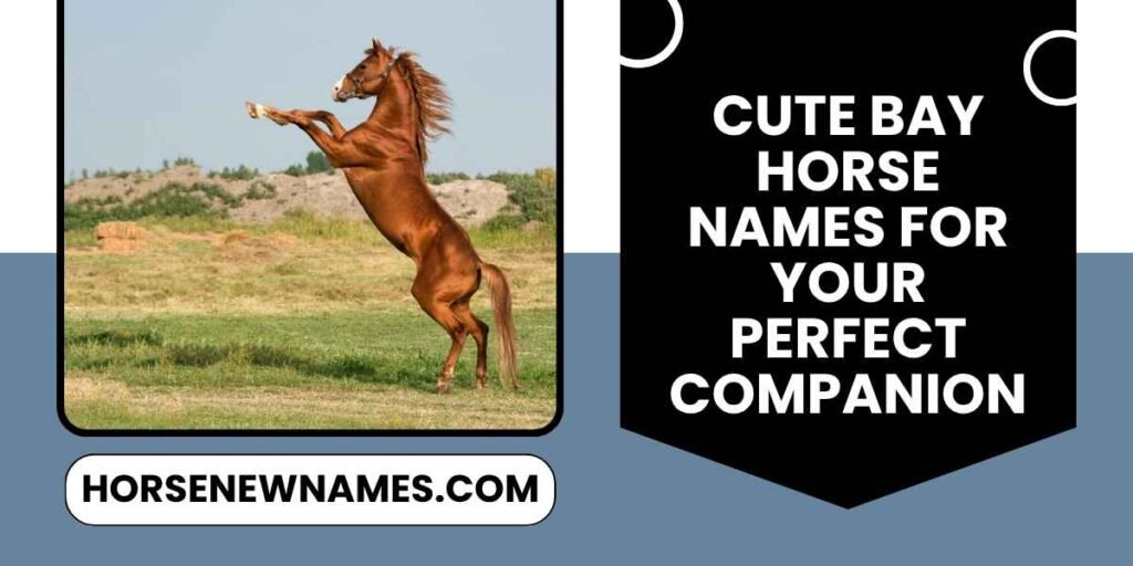 Cute Bay Horse Names For Your Perfect Companion