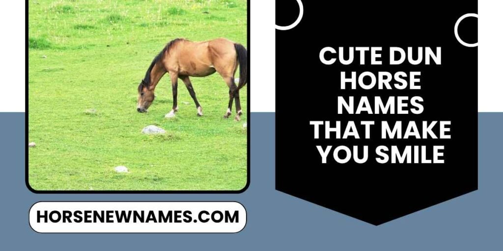 Cute Dun Horse Names That Make You Smile