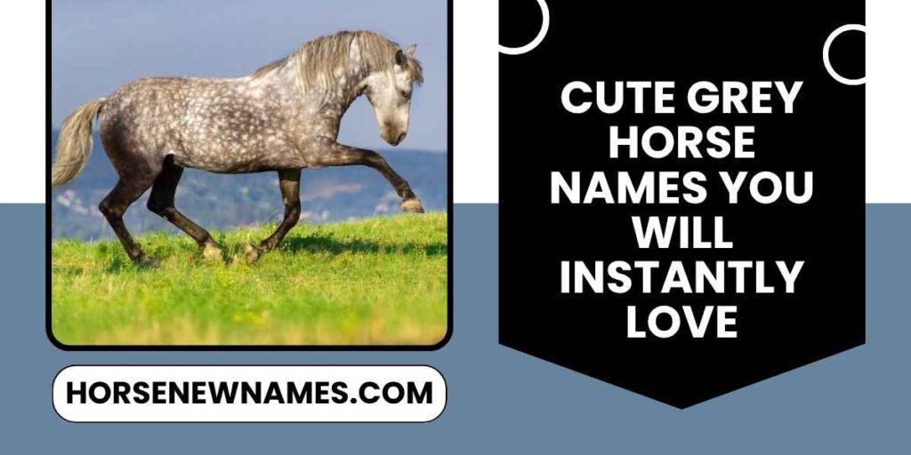 Cute Grey Horse Names You Will Instantly Love