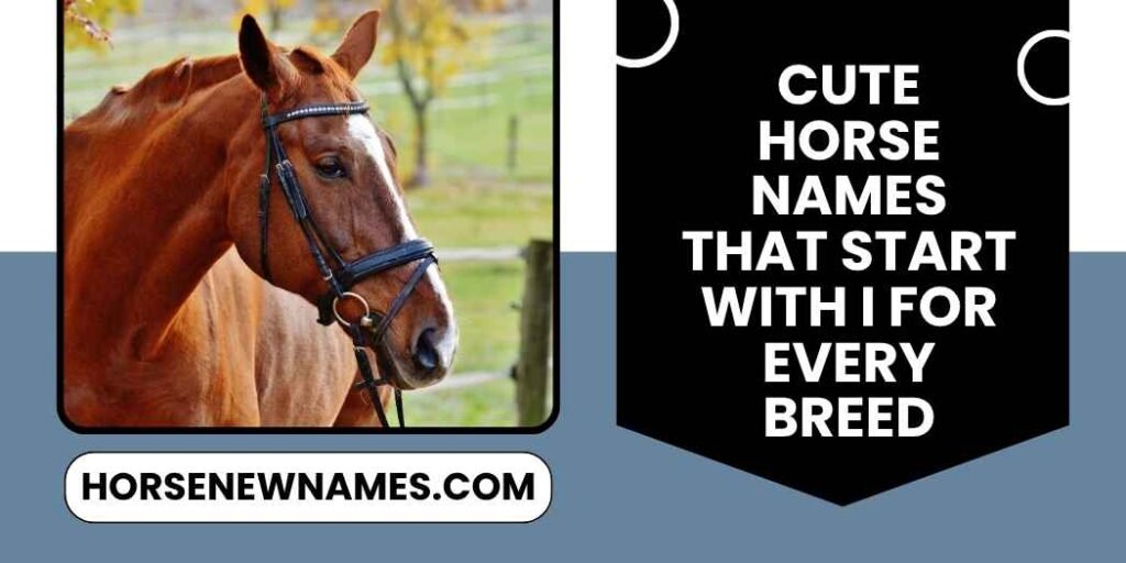 Cute Horse Names That Start With I For Every Breed