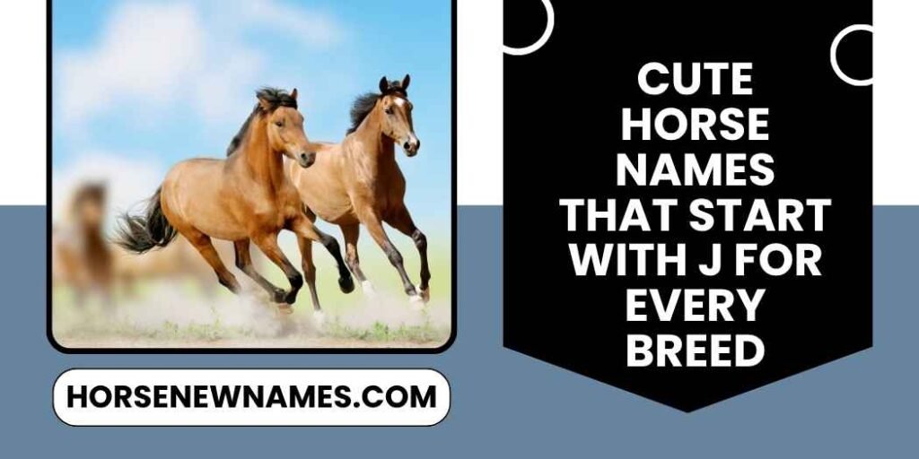 Cute Horse Names That Start With J For Every Breed