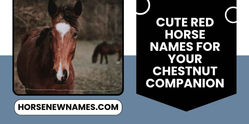 Cute Red Horse Names for Your Chestnut Companion