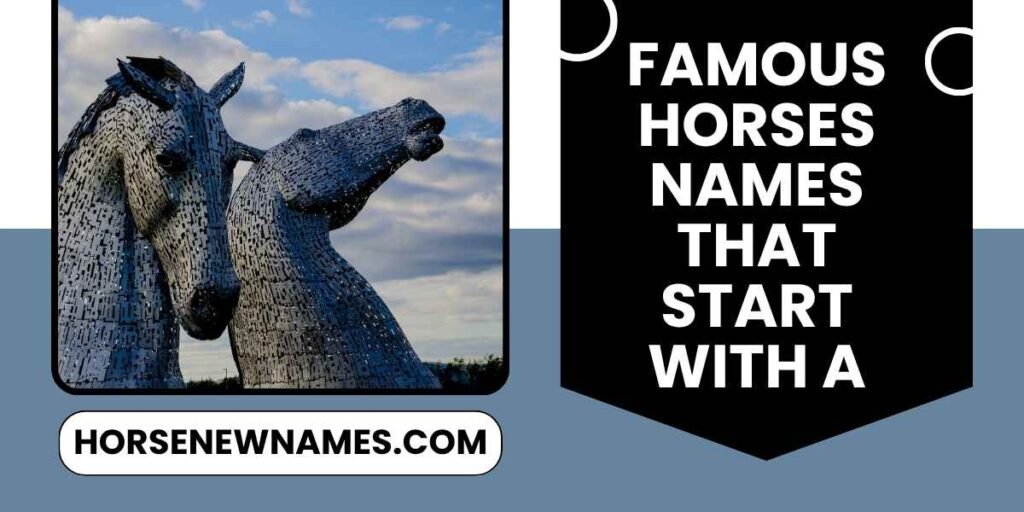Famous Horses Names That Start with A