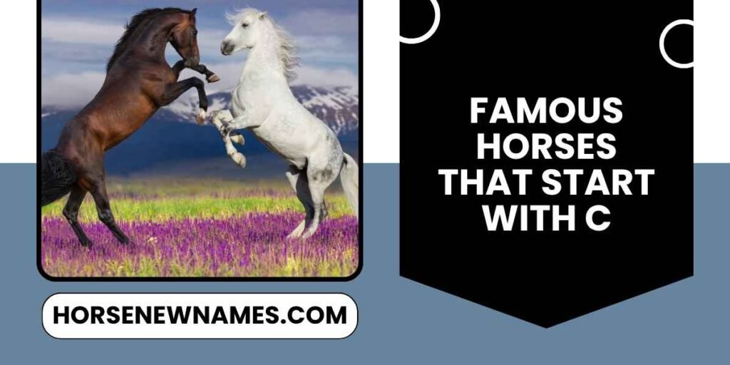 Famous Horses That Start With C