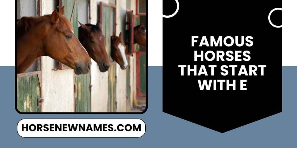 Famous Horses That Start With E