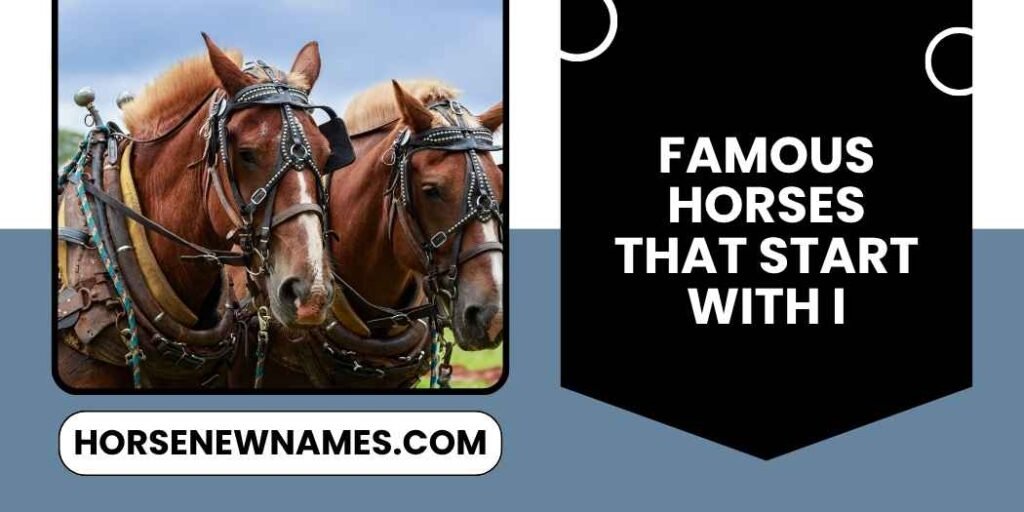 Famous Horses That Start With I
