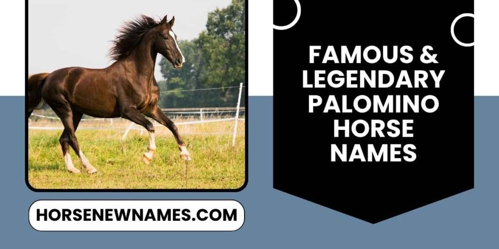 Famous & Legendary Palomino Horse Names