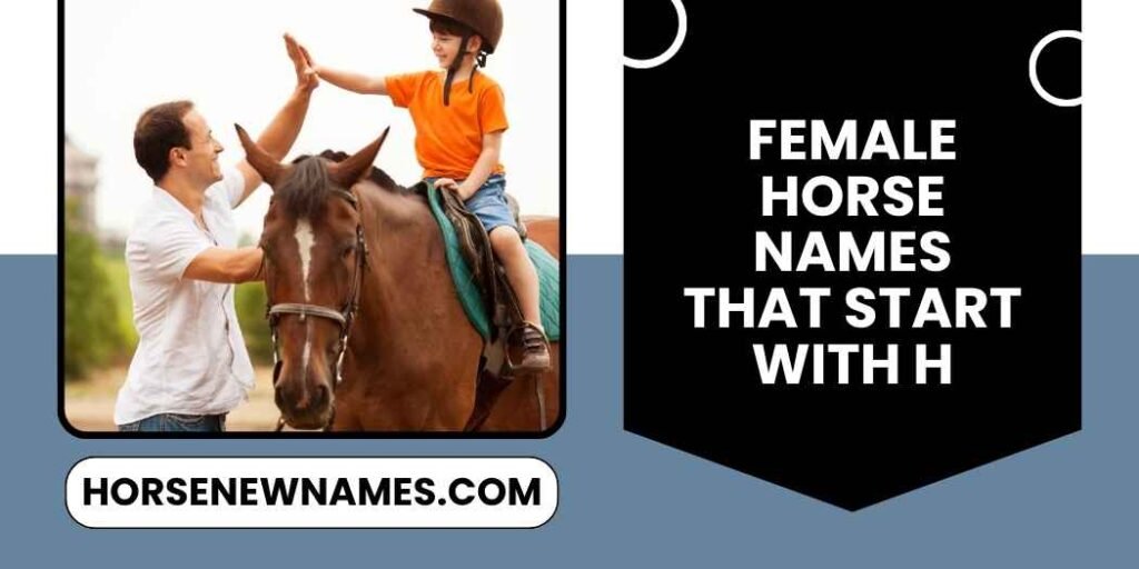 Female Horse Names That Start With H