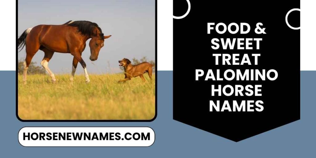 Food & Sweet Treat Palomino Horse Names