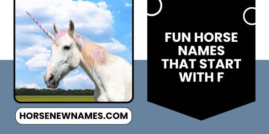 Fun Horse Names That Start With F