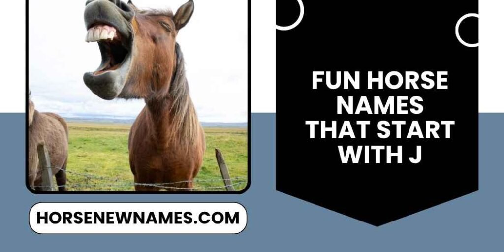 Fun Horse Names That Start With J