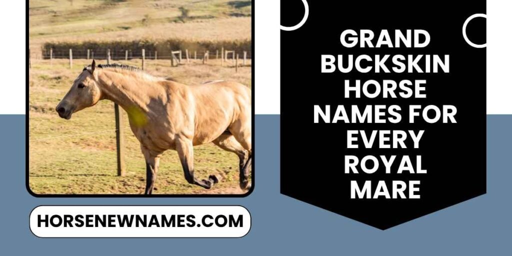 Grand Buckskin Horse Names For Every Royal Mare