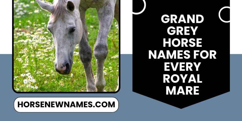 Grand Grey Horse Names For Every Royal Mare