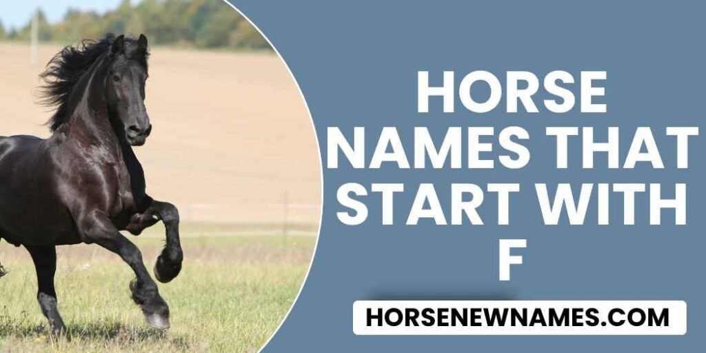 Horse Names That Start With F