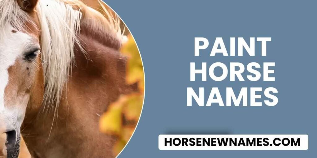 Paint Horse Names