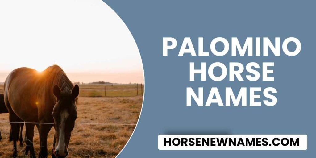 Palomino Horse Names