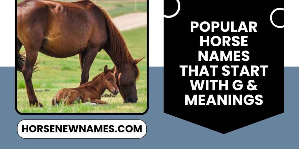 Popular Horse Names That Start With G & Meanings
