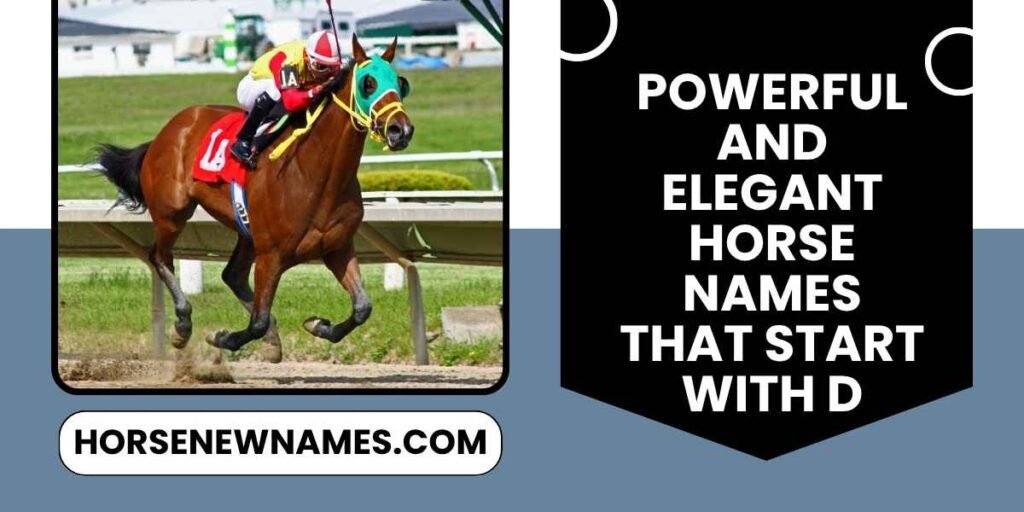 Powerful and Elegant Horse Names That Start With D