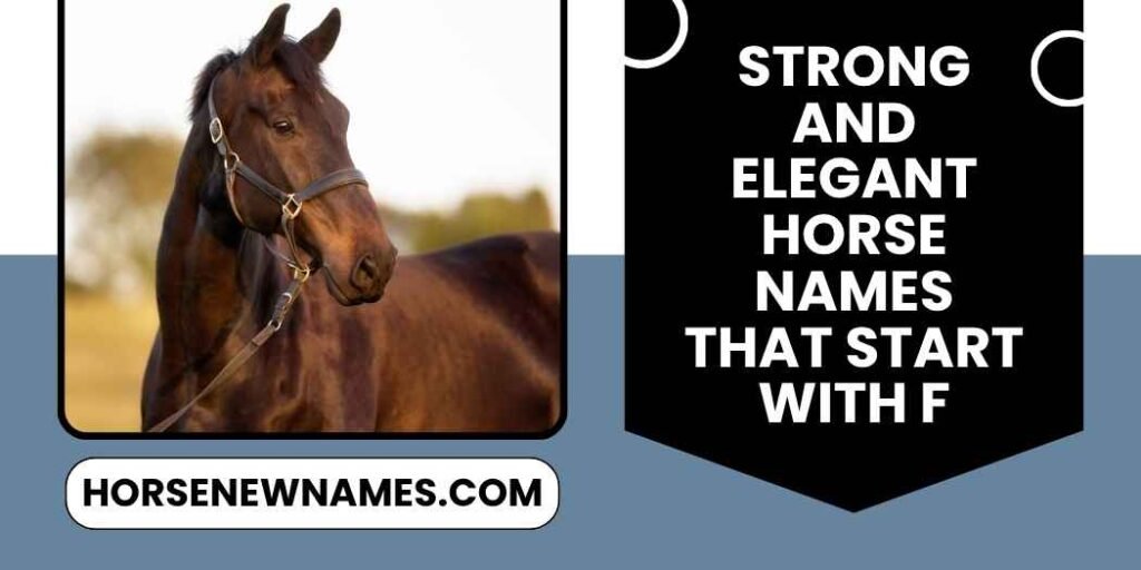 Strong and Elegant Horse Names That Start With F