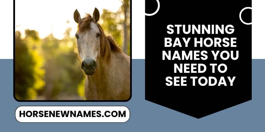 Stunning Bay Horse Names You Need To See Today