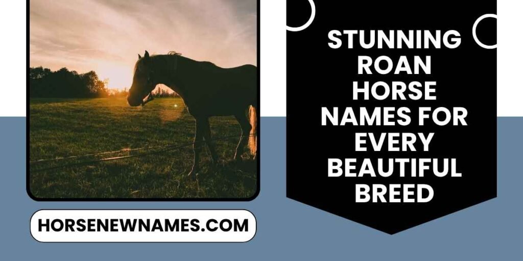 Stunning Roan Horse Names For Every Beautiful Breed