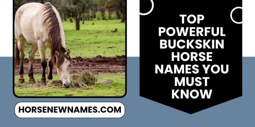 Top Powerful Buckskin Horse Names You Must Know