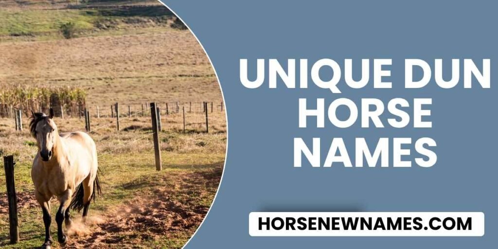 Unique Dun Horse Names