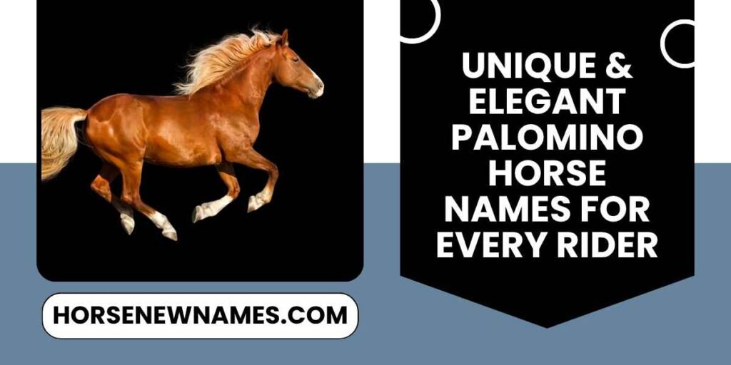 Unique & Elegant Palomino Horse Names For Every Rider