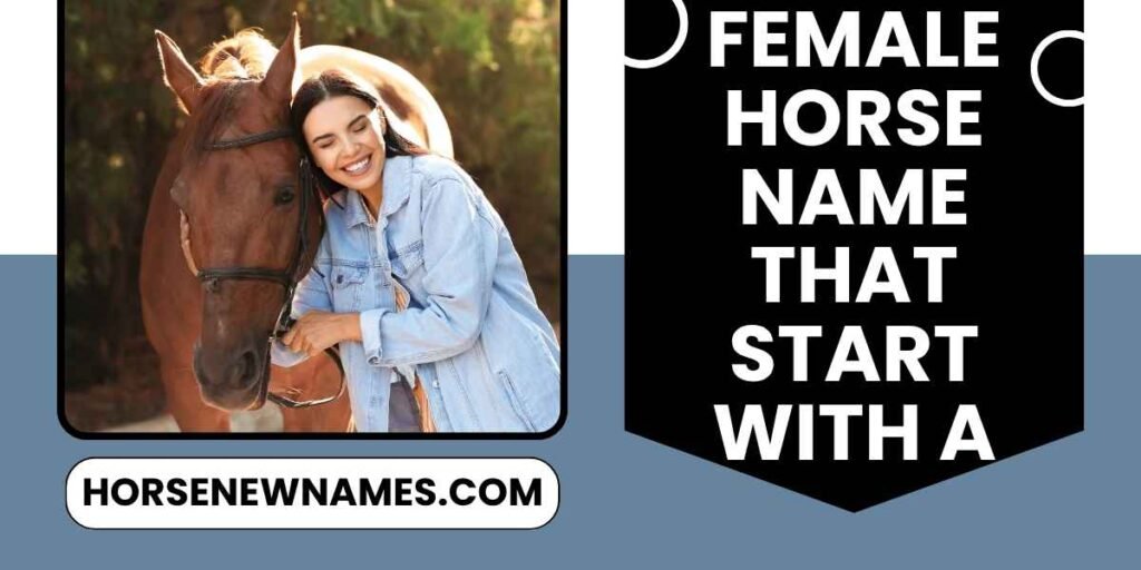 Unique Female Horse Name That Start with A