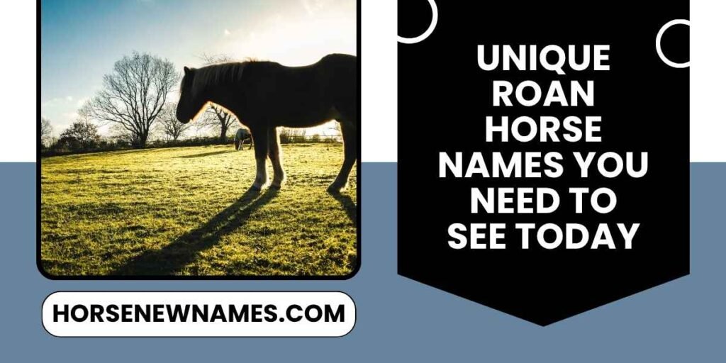 Unique Roan Horse Names You Need To See Today