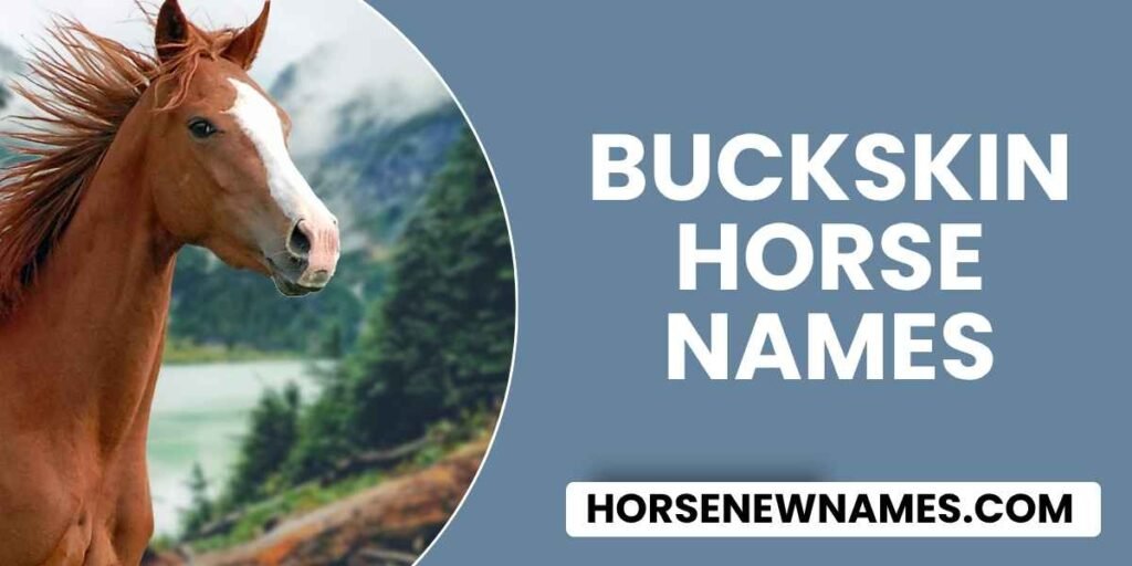 Buckskin Horse Names