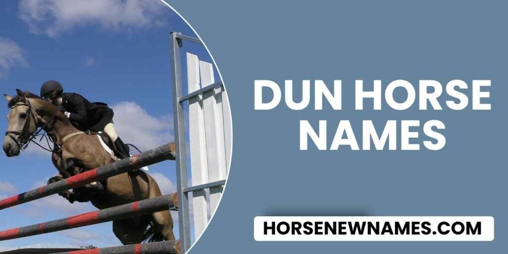 Dun Horse Names