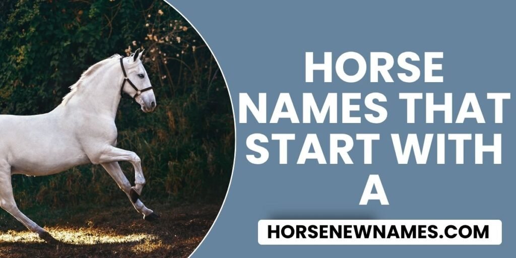 Horse Names That Start With A