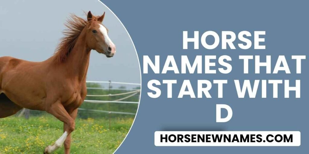 Horse Names That Start With D