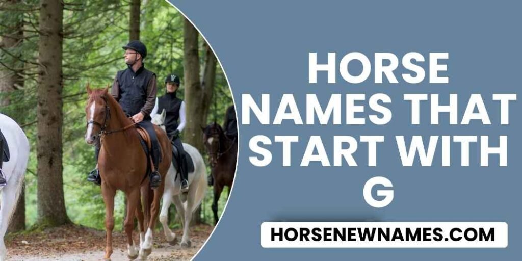 Horse Names That Start With G