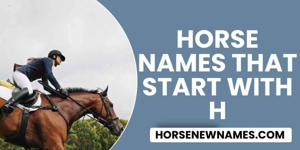 Horse Names That Start With H