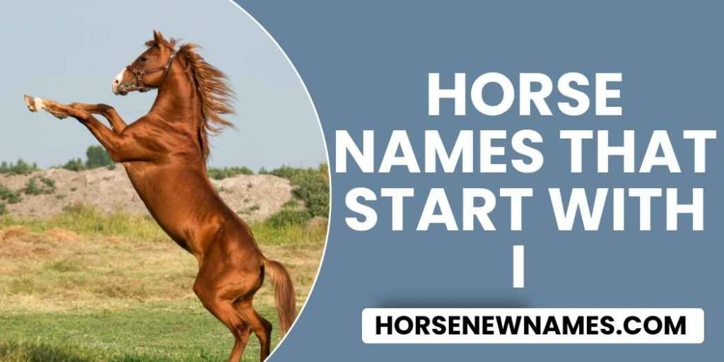 Horse Names That Start With I