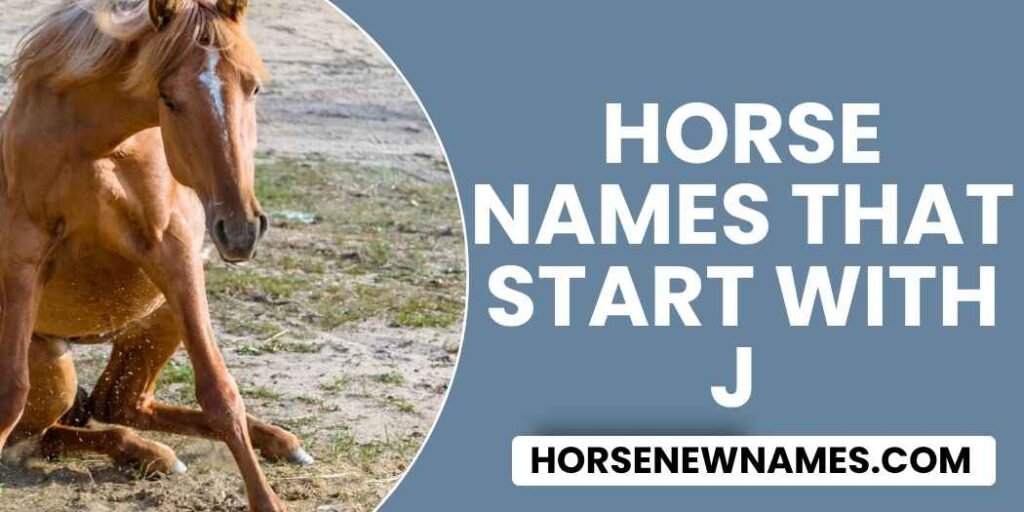Horse Names That Start With J
