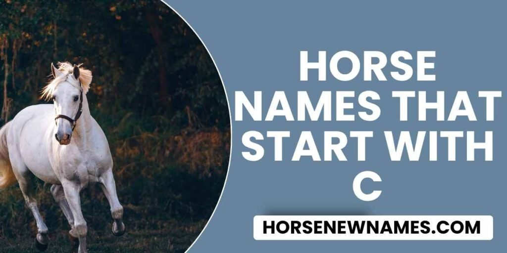 Horse Names that start With C